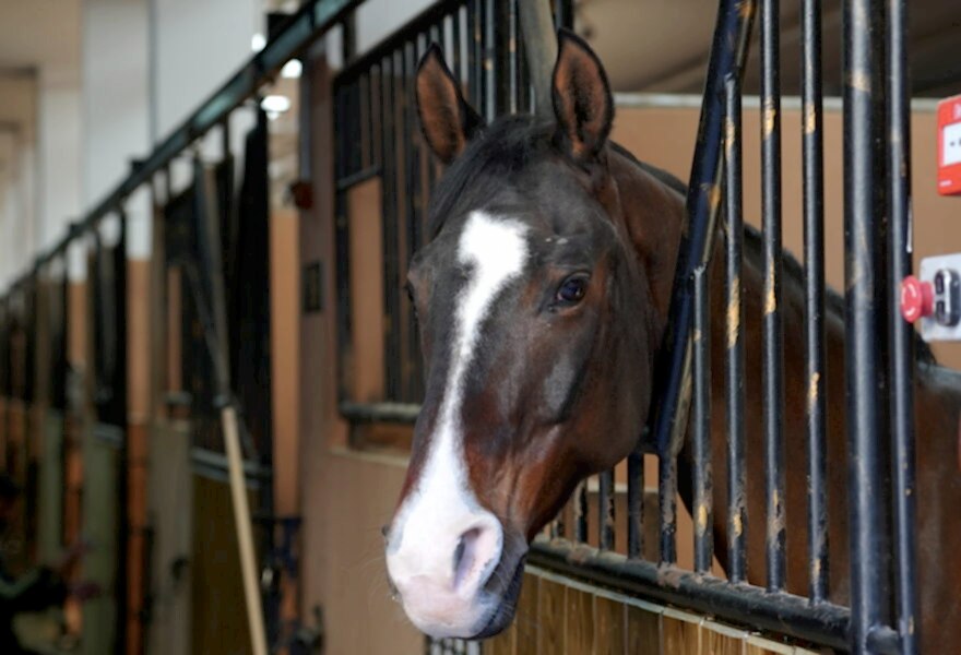 Magical Club tanıtım görseli