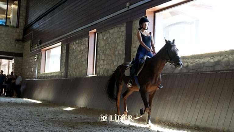 Binicilik Turu Deneyimi: İlk Kez At Sırtına Geçenler Ne Beklemeli?