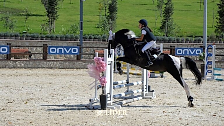 Atlı Binicilik: Başlangıçtan Uzmanlığa Binicilik Derslerinin Aşamaları