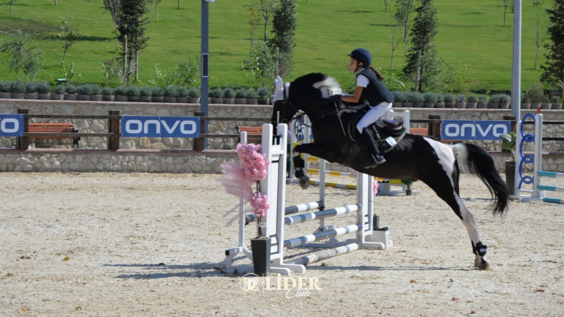Atlı Binicilik: Başlangıçtan Uzmanlığa Binicilik Derslerinin Aşamaları