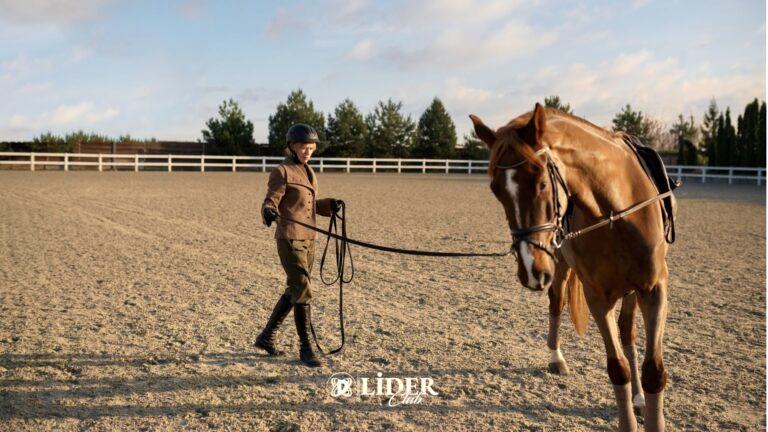 At tutkunlarına: Lider Club’da binicilik derslerine hazırlanmanın 5 ipucu