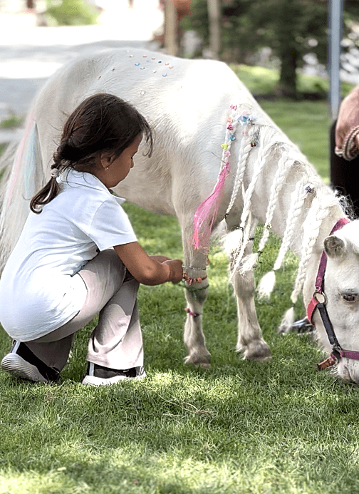 Hafta Sonu Mini Tatil Planı: Lider Club + Çatalca Çevre Aktiviteleri
