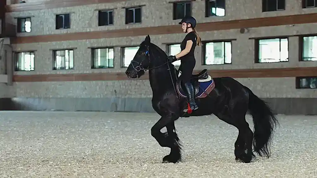 Pony Turlarıyla Çocuklara Özel Eğlence ve Öğrenme Zamanı