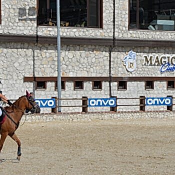 Çatalca at çiftliği kahvaltı ve at binicilik dersi