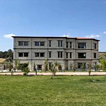 Düğün, Etkinlik alanları