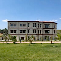 Düğün, Etkinlik alanları